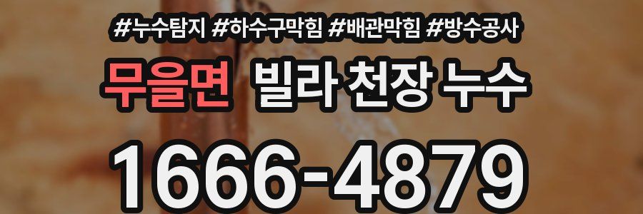 무을면 빌라 천장 누수