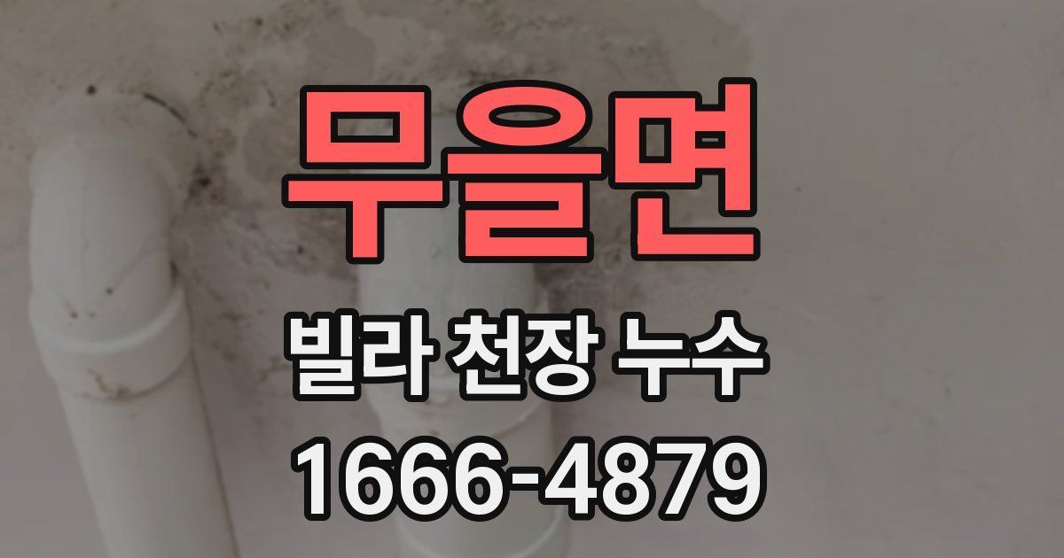 무을면 빌라 천장 누수