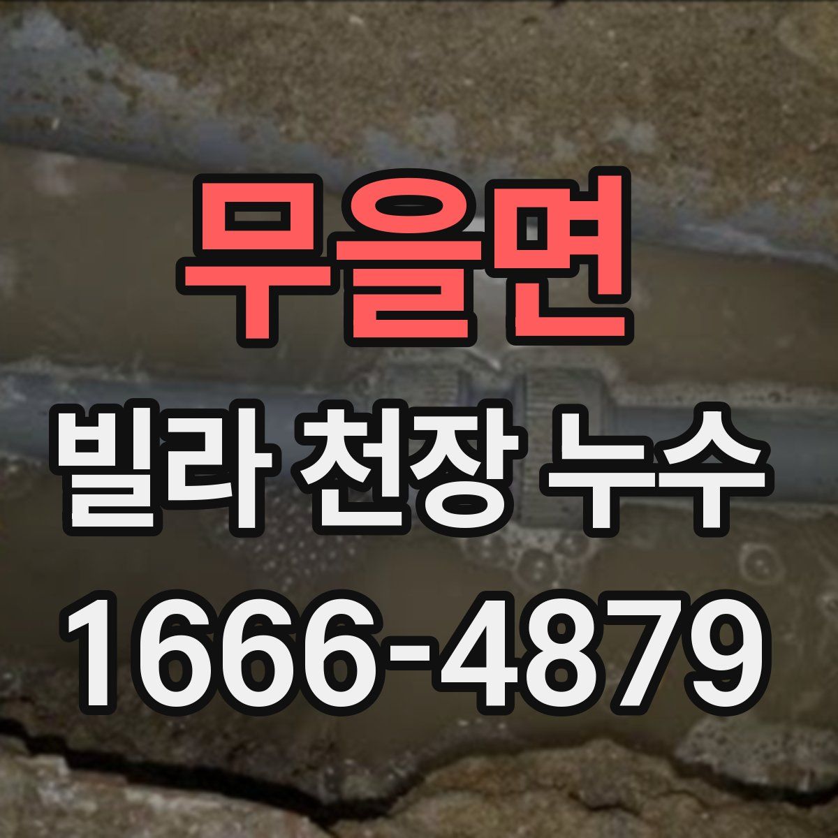 무을면 빌라 천장 누수