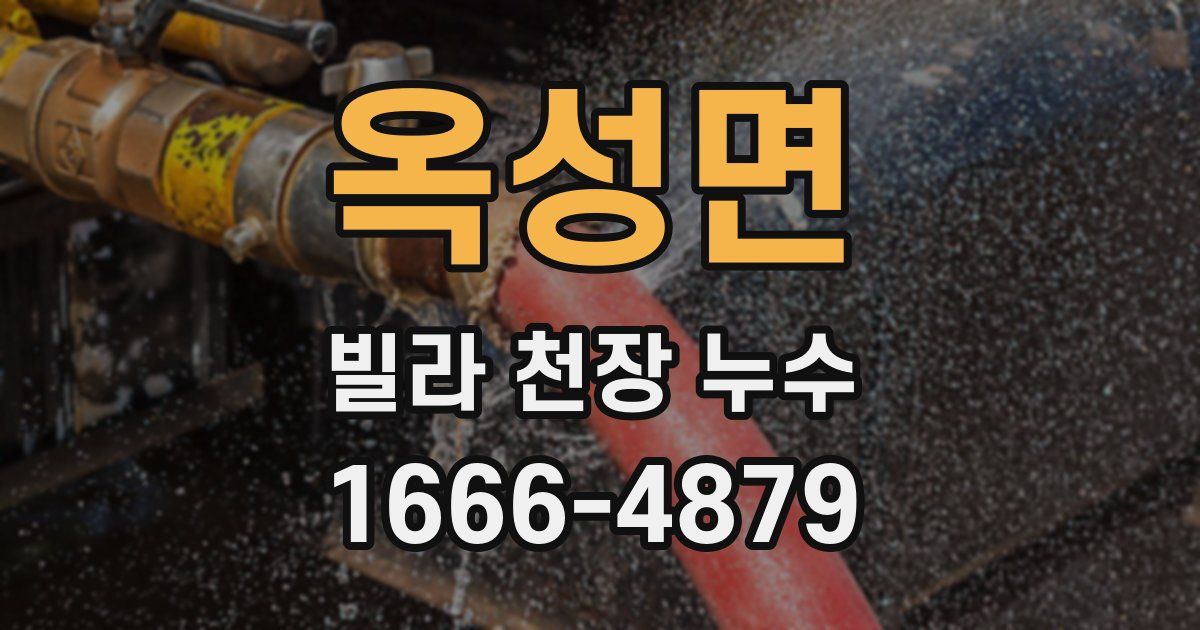 옥성면 빌라 천장 누수