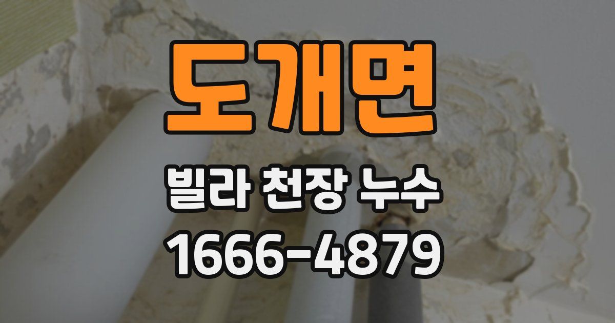도개면 빌라 천장 누수