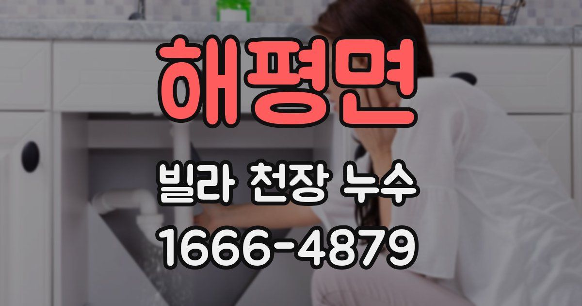 해평면 빌라 천장 누수