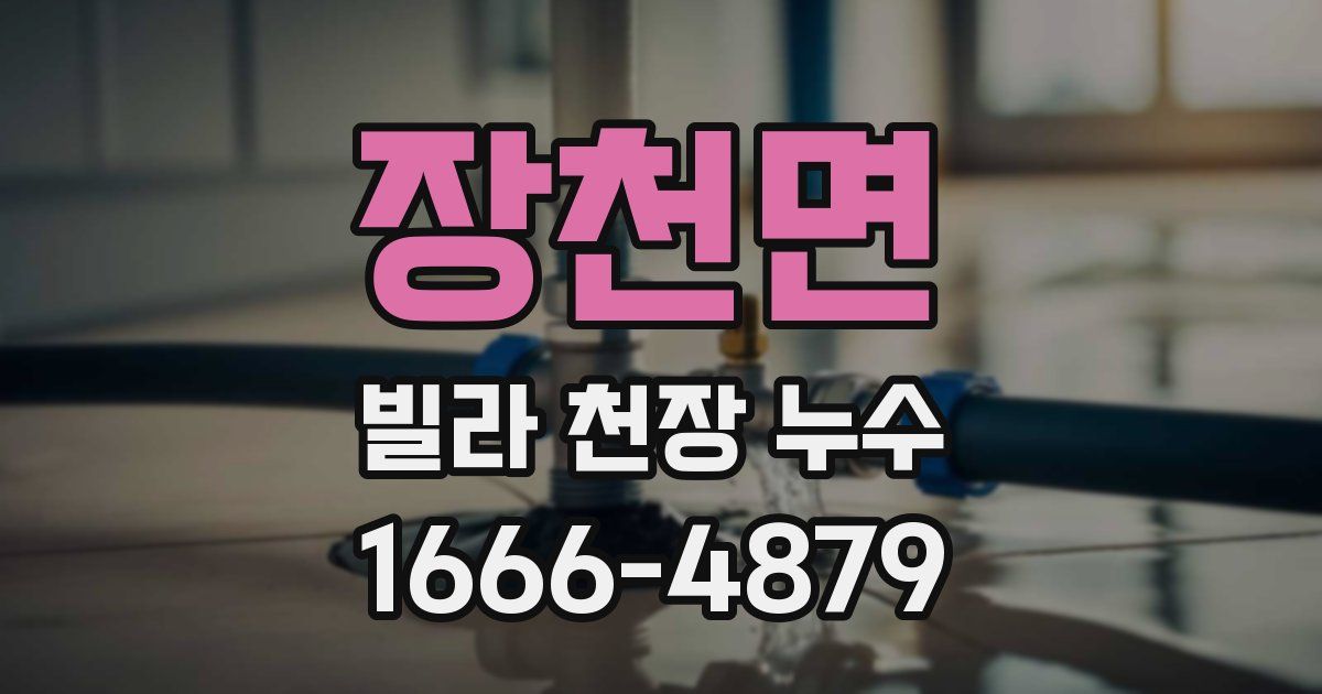 장천면 빌라 천장 누수