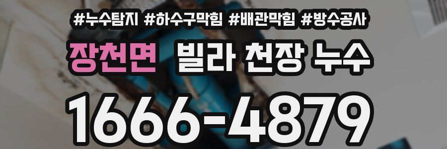 장천면 빌라 천장 누수