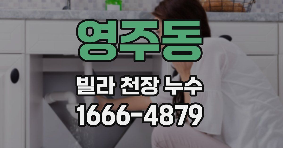 영주동 빌라 천장 누수