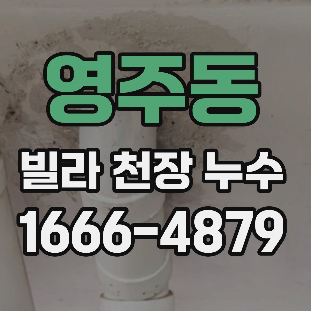 영주동 빌라 천장 누수