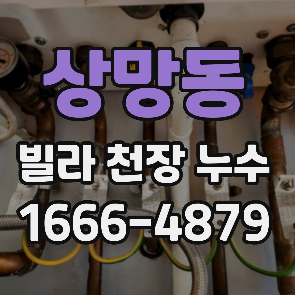 상망동 빌라 천장 누수
