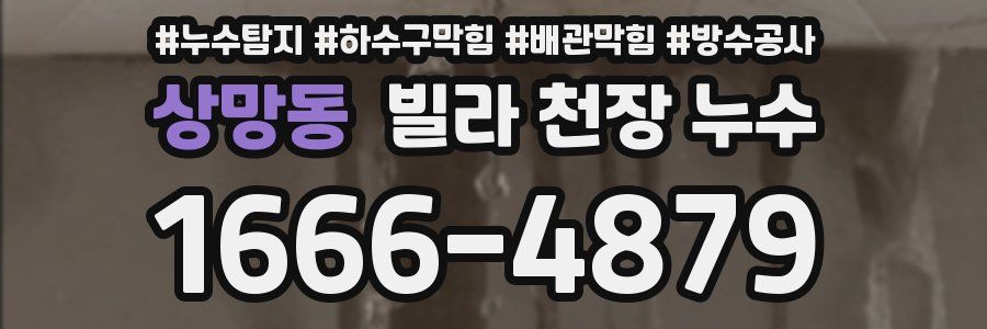 상망동 빌라 천장 누수