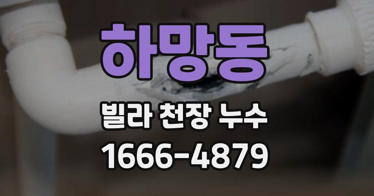 하망동 빌라 천장 누수
