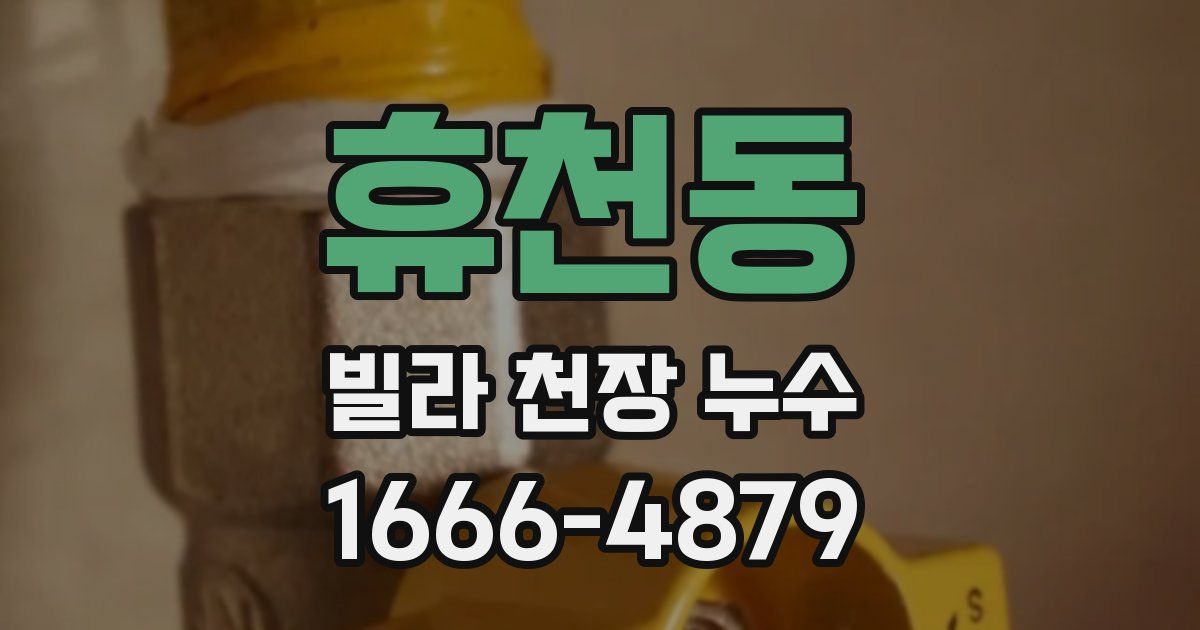 휴천동 빌라 천장 누수