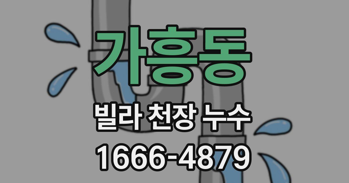 가흥동 빌라 천장 누수