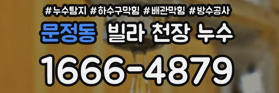 문정동 빌라 천장 누수