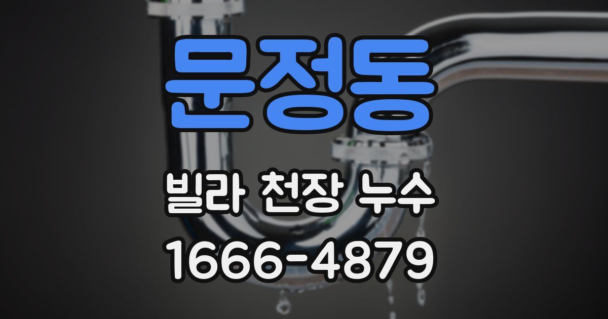 문정동 빌라 천장 누수