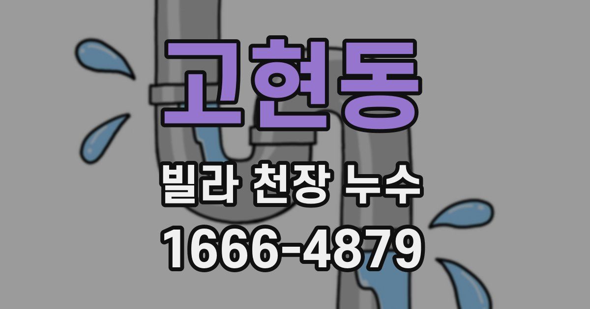 고현동 빌라 천장 누수