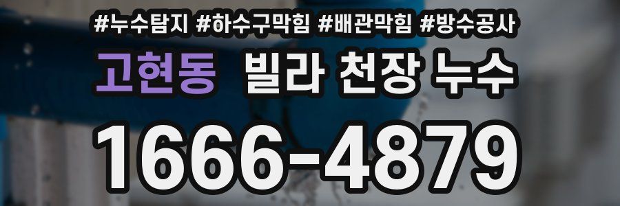 고현동 빌라 천장 누수