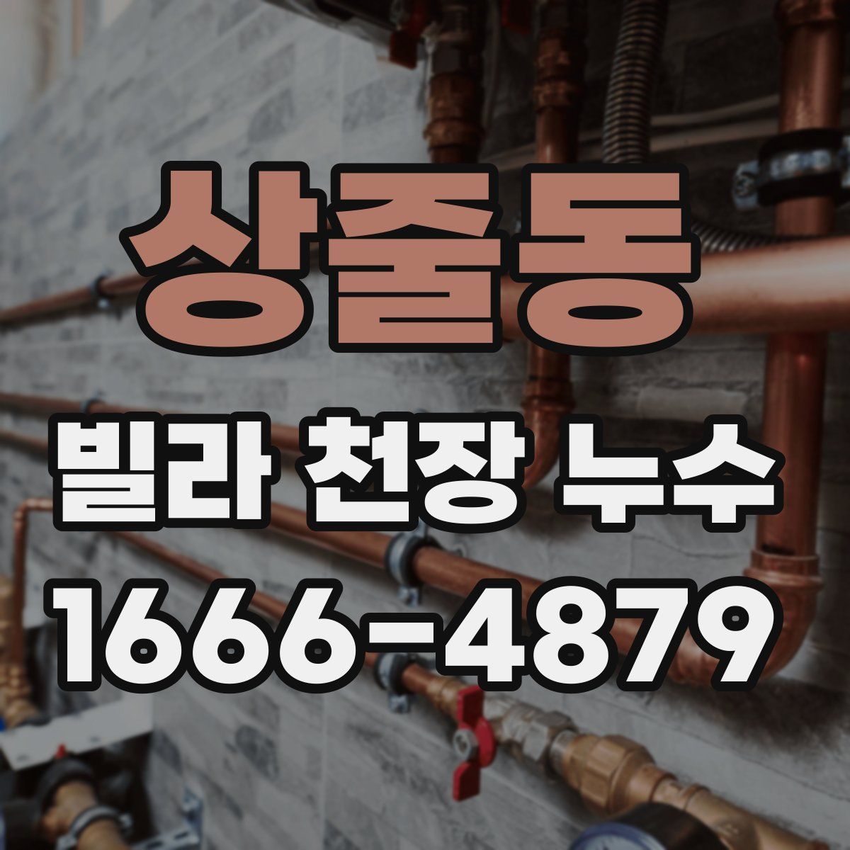 상줄동 빌라 천장 누수