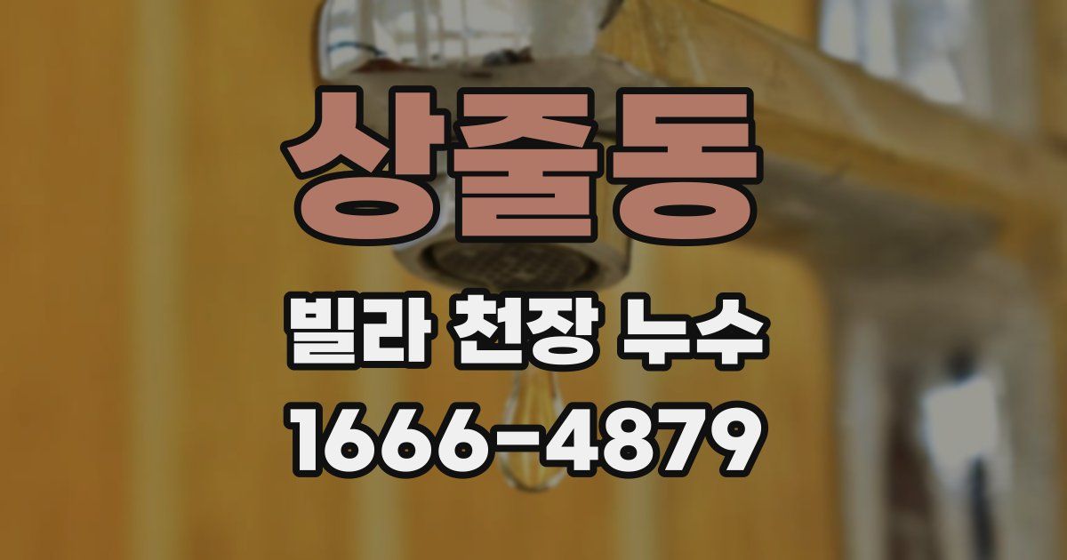 상줄동 빌라 천장 누수