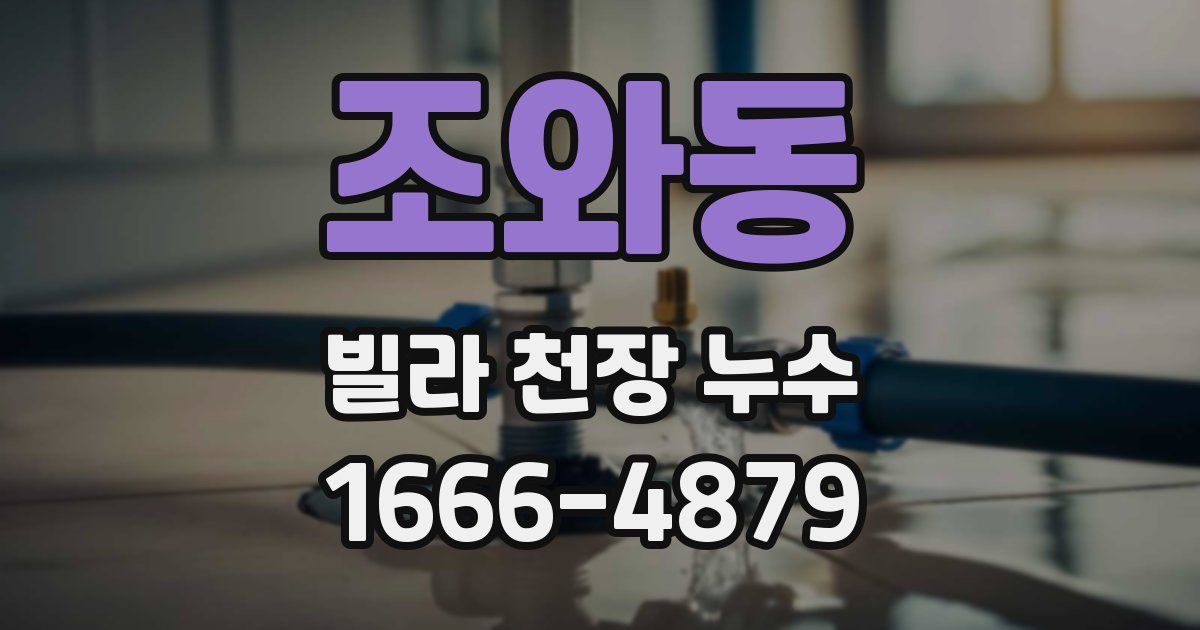 조와동 빌라 천장 누수