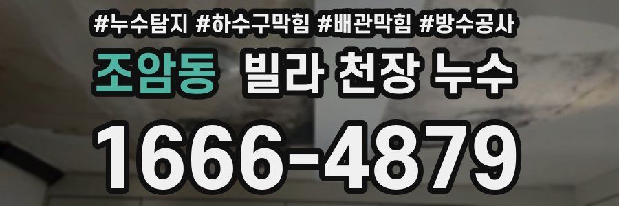 조암동 빌라 천장 누수