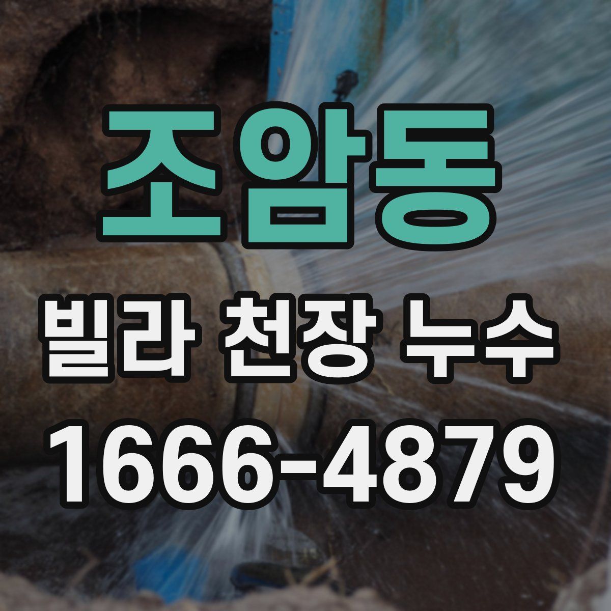 조암동 빌라 천장 누수