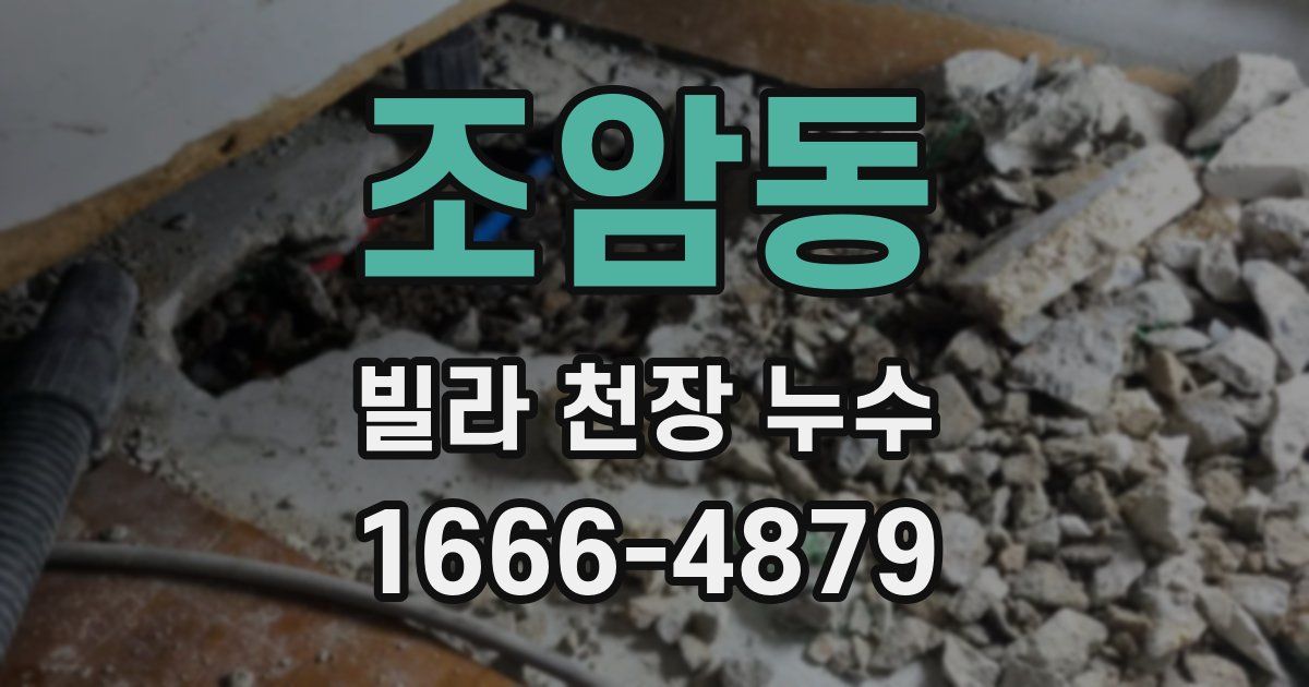 조암동 빌라 천장 누수