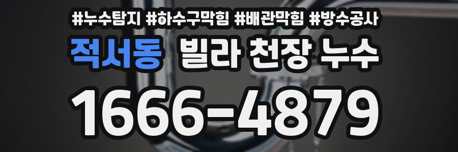 적서동 빌라 천장 누수