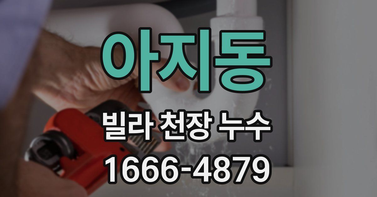 아지동 빌라 천장 누수