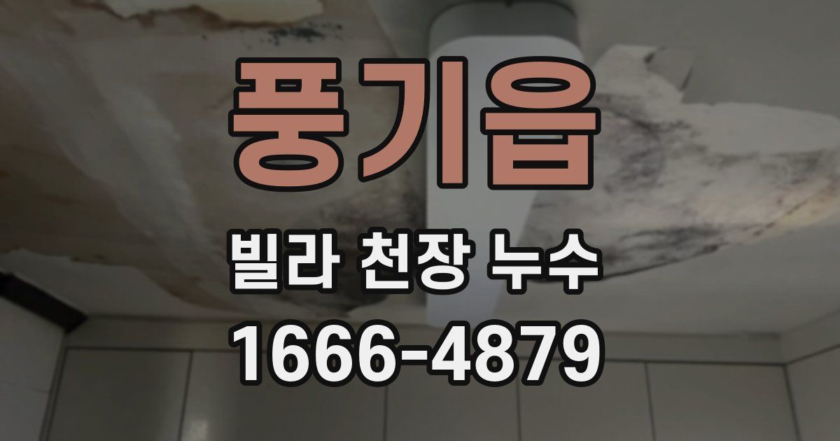 풍기읍 빌라 천장 누수