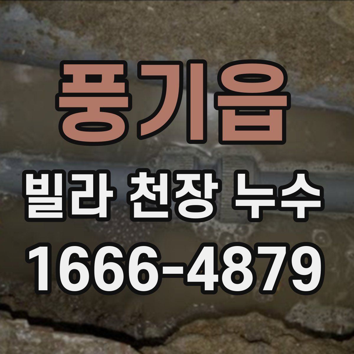 풍기읍 빌라 천장 누수