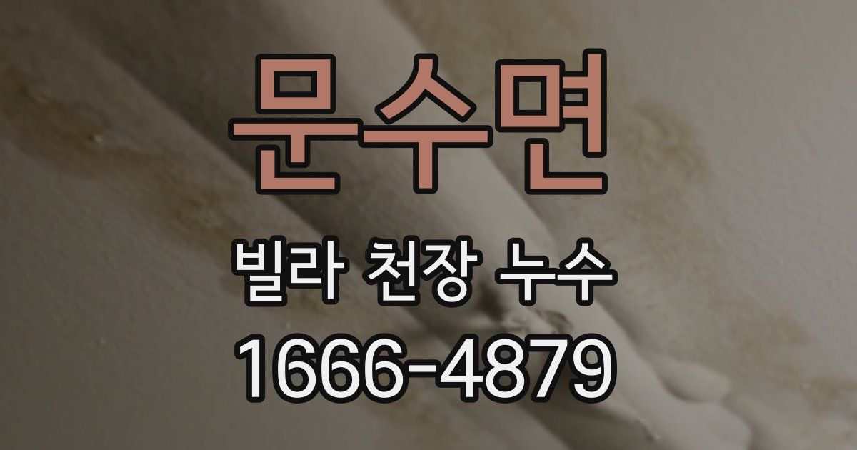 문수면 빌라 천장 누수