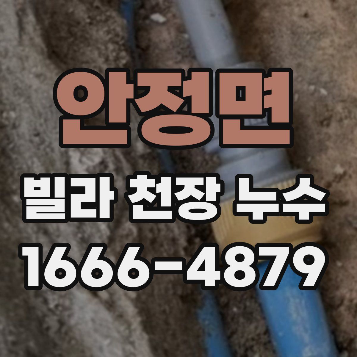 안정면 빌라 천장 누수