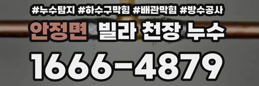 안정면 빌라 천장 누수
