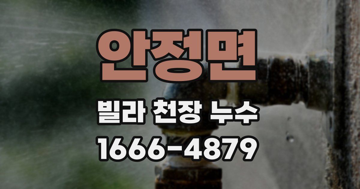 안정면 빌라 천장 누수
