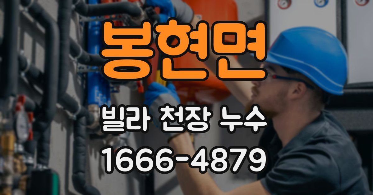 봉현면 빌라 천장 누수