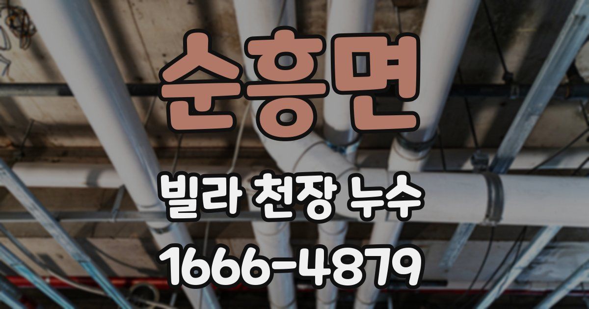 순흥면 빌라 천장 누수