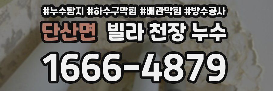 단산면 빌라 천장 누수