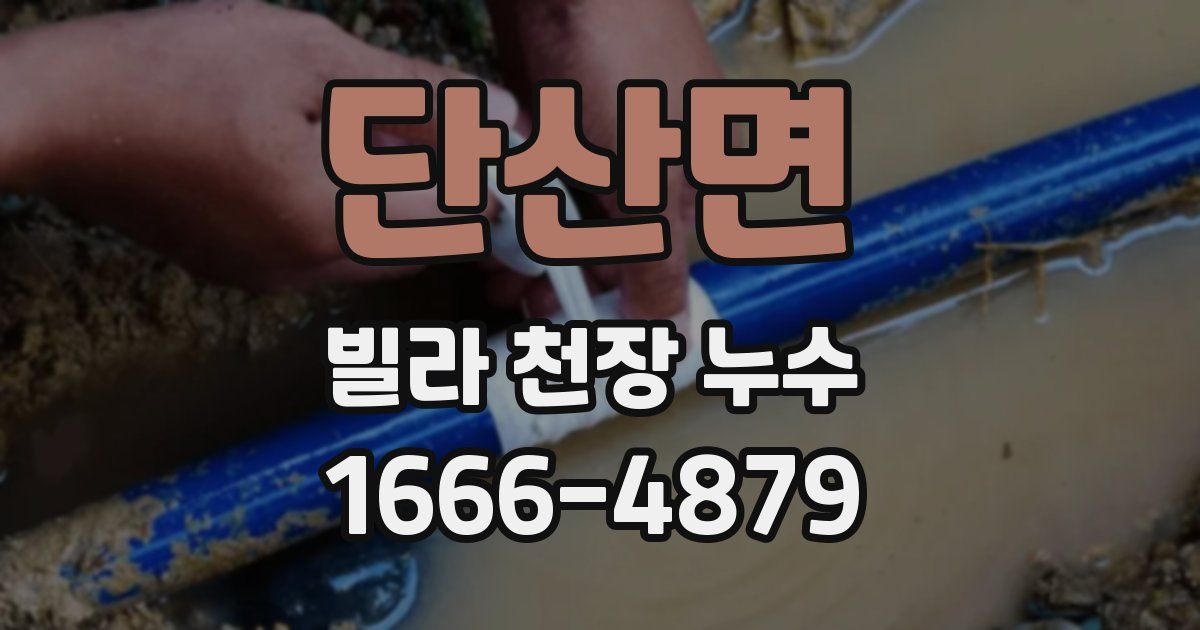단산면 빌라 천장 누수
