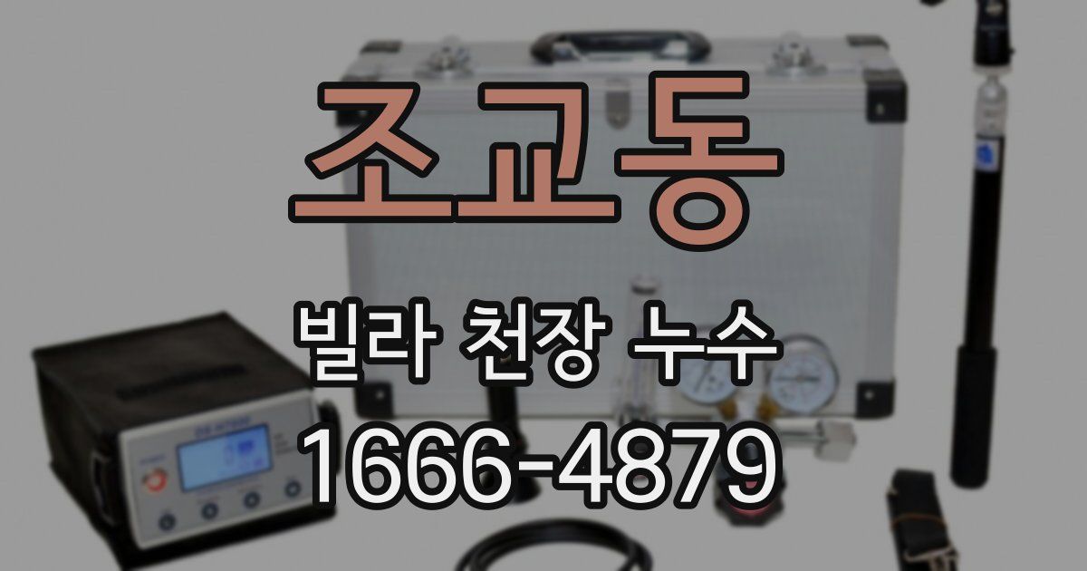 조교동 빌라 천장 누수