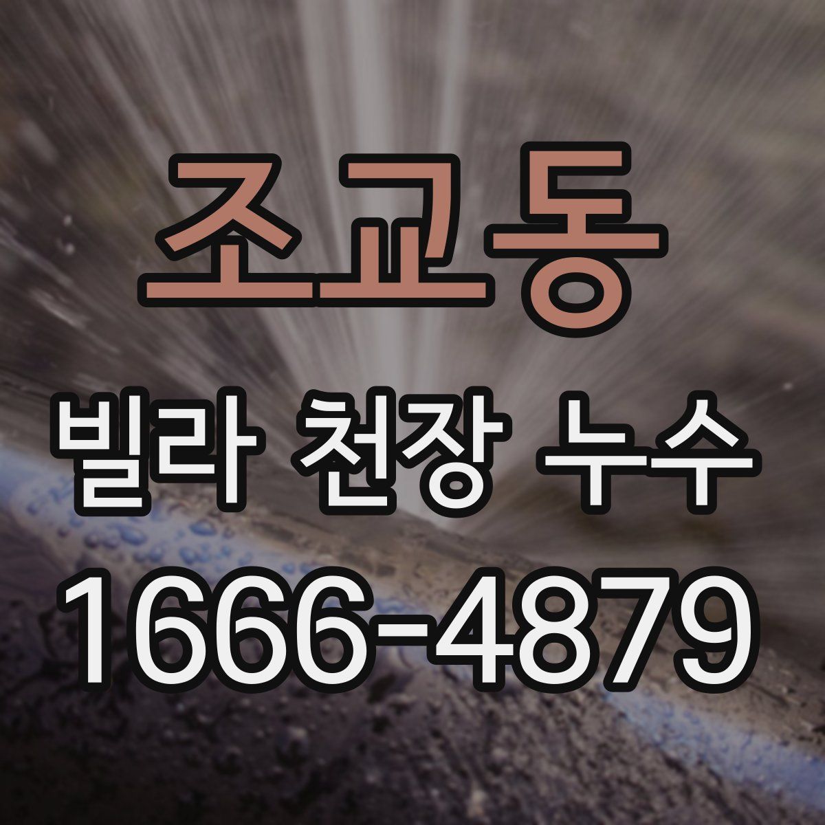 조교동 빌라 천장 누수