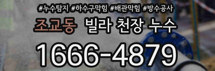 조교동 빌라 천장 누수