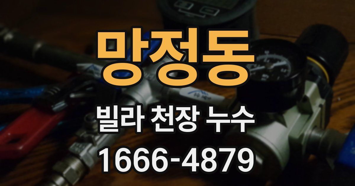 망정동 빌라 천장 누수