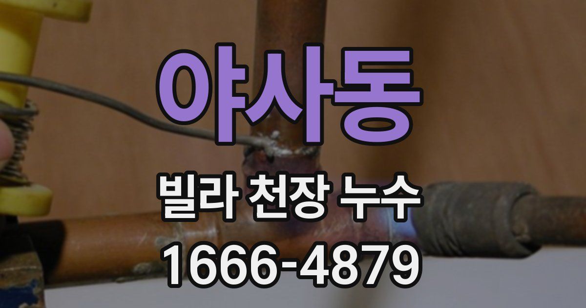 야사동 빌라 천장 누수