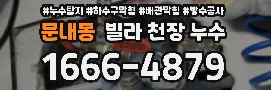 문내동 빌라 천장 누수