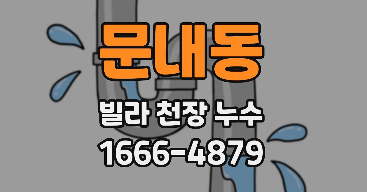 문내동 빌라 천장 누수