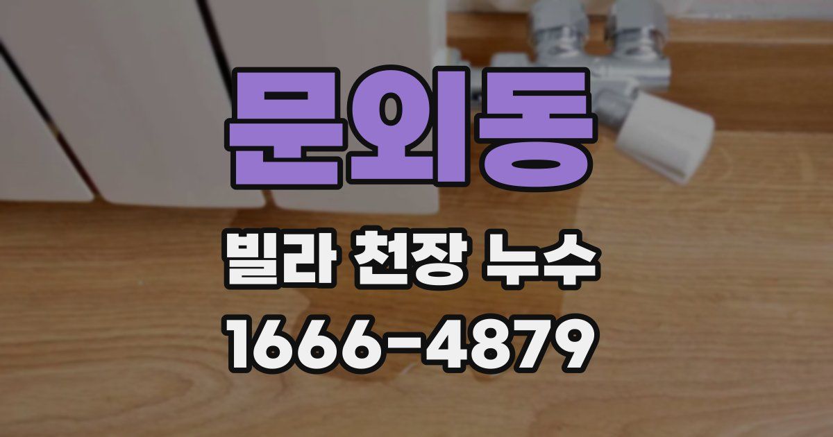 문외동 빌라 천장 누수