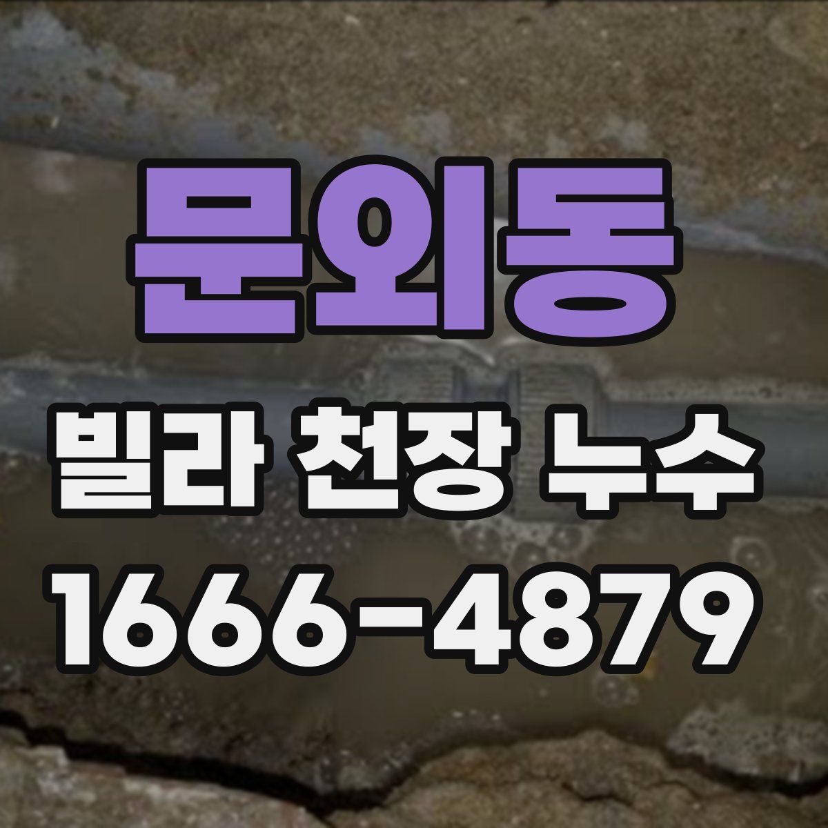 문외동 빌라 천장 누수