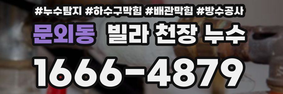 문외동 빌라 천장 누수