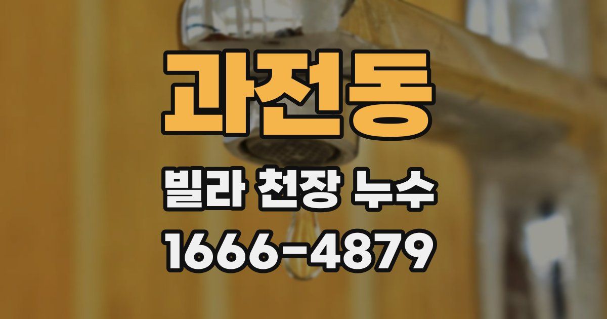 과전동 빌라 천장 누수