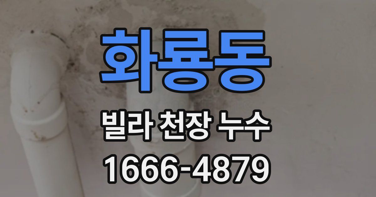 화룡동 빌라 천장 누수