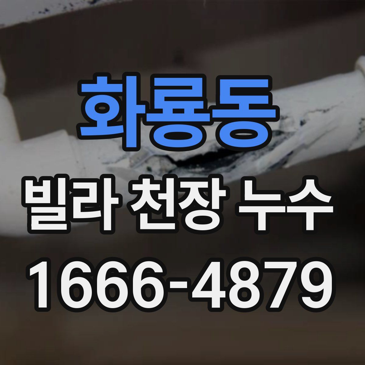 화룡동 빌라 천장 누수